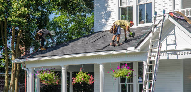 Professional Roofing Contractor in Gardnerville, NV
